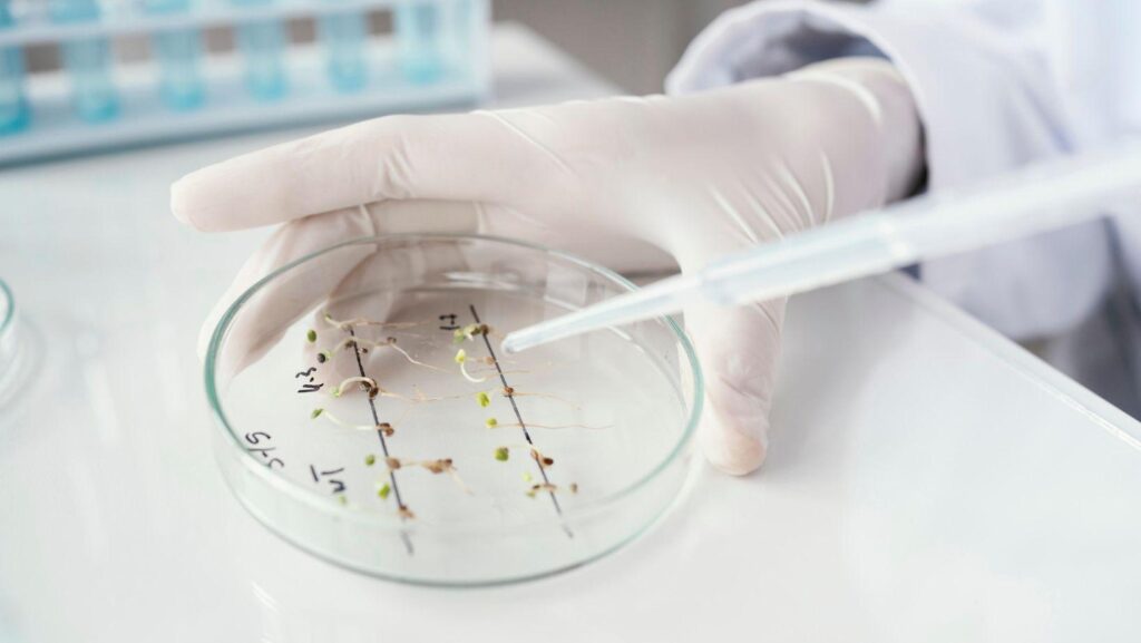 tissue culture success factors, tissue culture research, plant tissue culture techniques, tissue culture project tips, lab tissue culture, tissue culture methodology, plant biotechnology research, tissue culture optimization, tissue culture lab practices, plant propagation methods